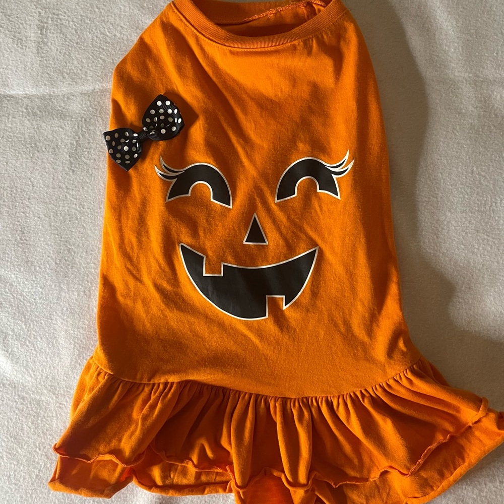Halloween Dog Pumpkin Outfit
